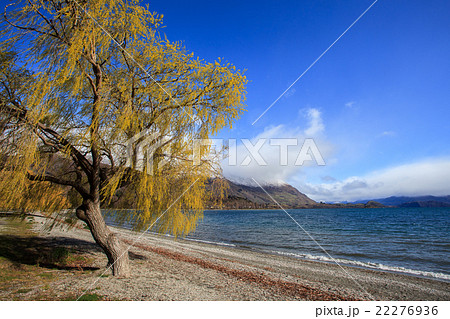 beautiful scenic of lake wanaka new zealand beautiful scenic of lake wanaka new zealand 22276936