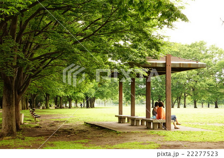 新緑の公園 新緑の公園 22277523