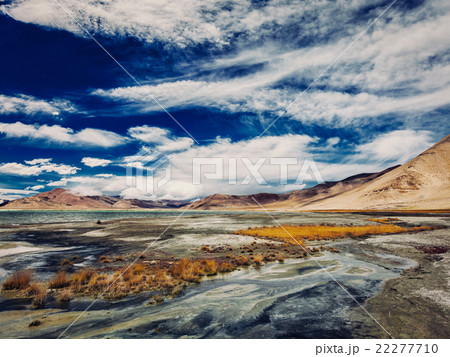 Salt lake Tso Kar in Himalayas. Ladakh, India 22277710