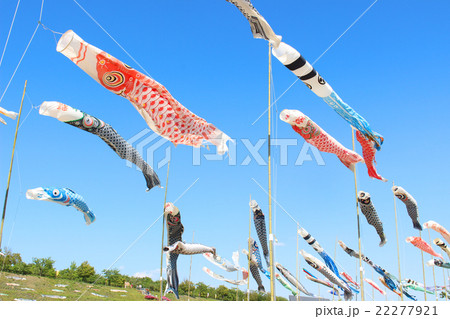 こいのぼり 22277921