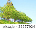 風景 22277924