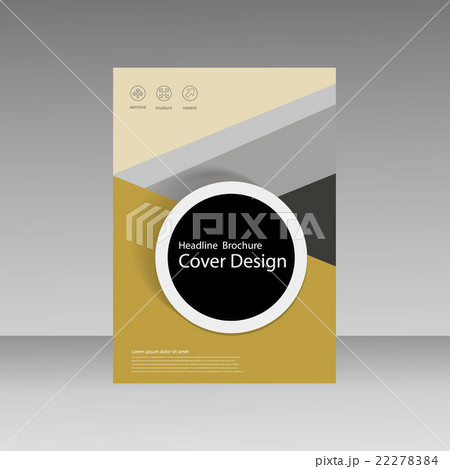 Vector Brochure Design Layout template  22278384
