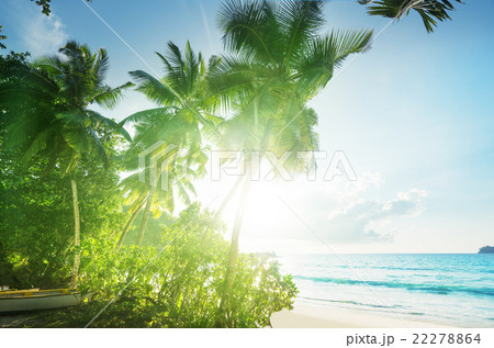 sunset on the beach, Mahe island, Seychelles sunset on the beach, Mahe island, Seychelles 22278864