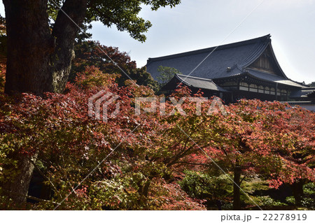東福寺 東福寺 22278919