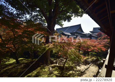 東福寺 東福寺 22278920