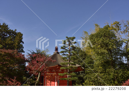 東福寺　愛染堂 22279208