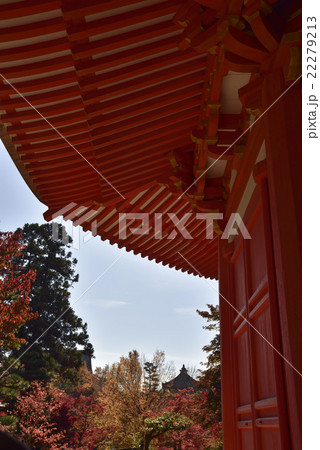 東福寺 愛染堂 東福寺 愛染堂 22279213