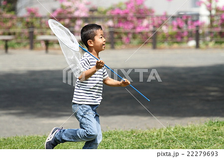 昆虫採集をする小学生(1年生) 22279693