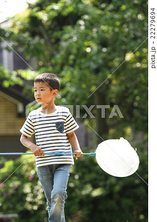 昆虫採集をする小学生(1年生) 22279694