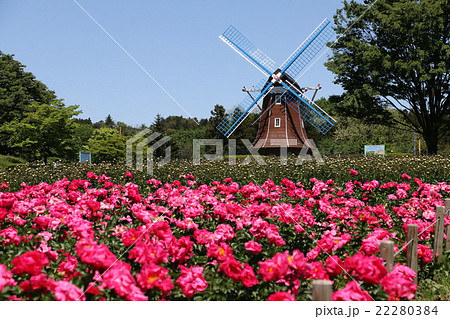 大胡ぐりーんふらわー牧場 大胡ぐりーんふらわー牧場 22280384