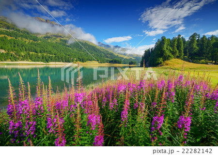 Champferersee 22282142
