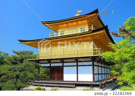 新緑の金閣・鹿苑寺 新緑の金閣・鹿苑寺 22282369