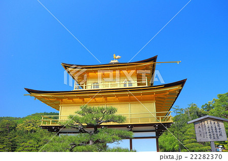 新緑の金閣・鹿苑寺 22282370