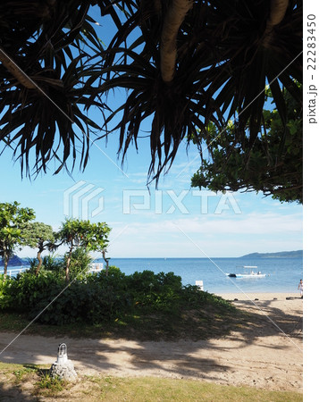 アダンの木陰から見た沖縄・石垣島のフサキビーチ アダンの木陰から見た沖縄・石垣島のフサキビーチ 22283450