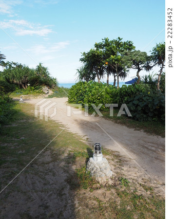 沖縄・石垣島のフサキビーチへ続く道と熱帯植物と外灯 22283452