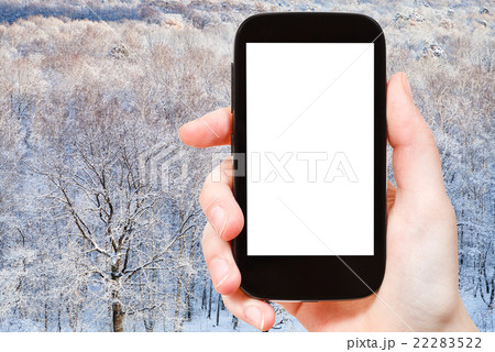 tourist photographs frozen oak forest in winter 22283522
