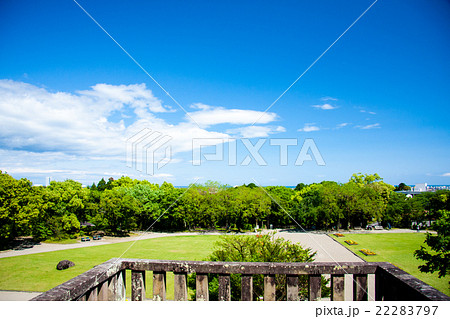 平和台公園 22283797