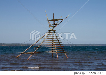 ぼらまちやぐら ぼらまちやぐら 22283813