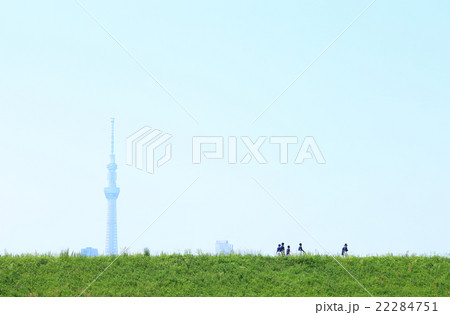 春の緑と青空　遠くに見えるスカイツリー 22284751