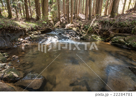 福知渓谷　森の中の風景　（兵庫県宍粟市） 22284781