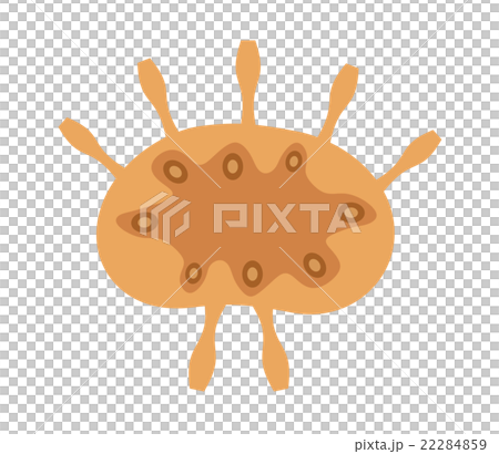 Section of lymph node 22284859