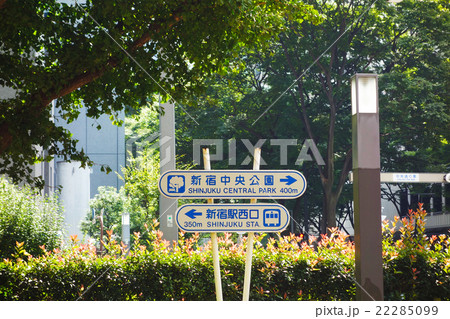 都市風景　新宿 22285099