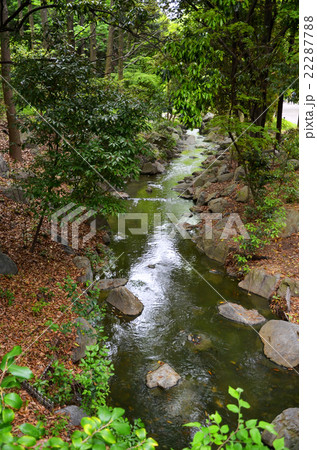 小川のせせらぎ 22287788