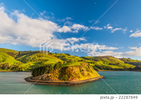 New Zealand Otago Region coastal landscape New Zealand Otago Region coastal landscape 22287849