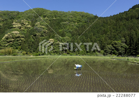 農業の未来 22288077