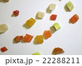 ドライフルーツ 22288211