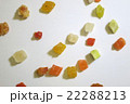 ドライフルーツ 22288213