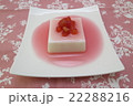 ドライフルーツと杏仁 22288216