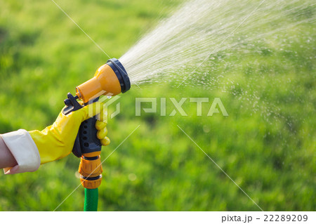 Hand with garden hose watering plants 22289209