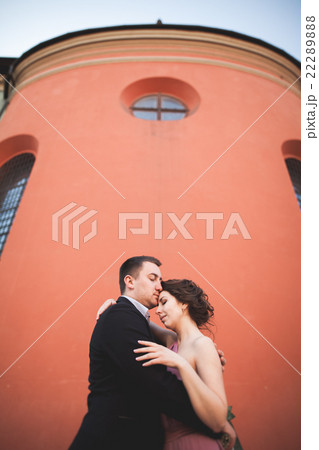 Elegant beautiful wedding couple posing near a 22289888
