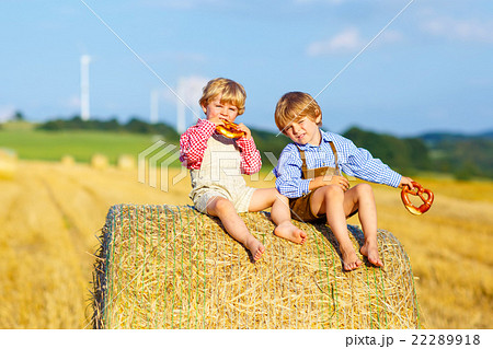 Two little kid boys and friends sitting on hay 22289918