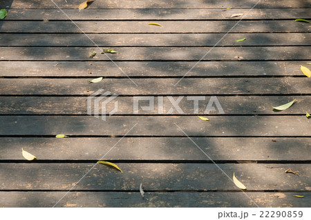 old wooden walkway with falling leaves old wooden walkway with falling leaves 22290859