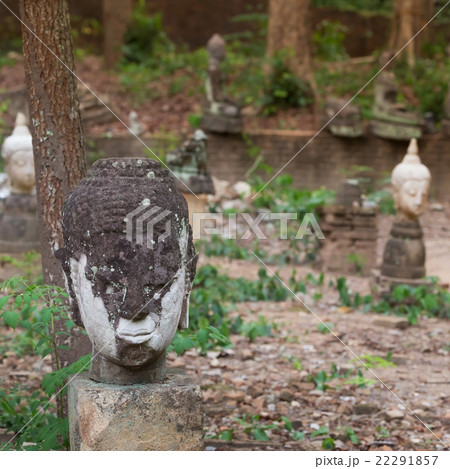 buddha statue in wat umong, chiang mai 22291857