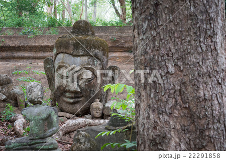 buddha statue in wat umong, chiang mai 22291858