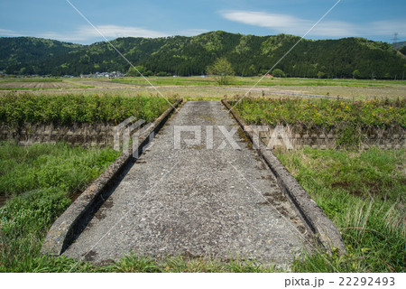 滋賀県湖北地方の春 22292493