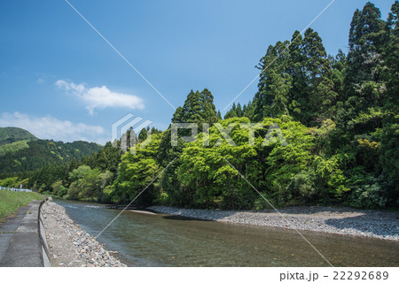 滋賀県湖北地方の清流 新緑の高時川 滋賀県湖北地方の清流 新緑の高時川 22292689