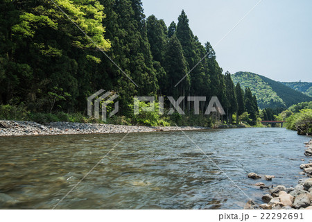 滋賀県湖北地方の清流 新緑の高時川 滋賀県湖北地方の清流 新緑の高時川 22292691