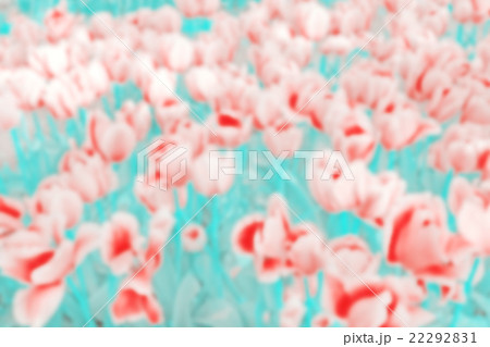 Vintage toned blurred tulips background Vintage toned blurred tulips background 22292831