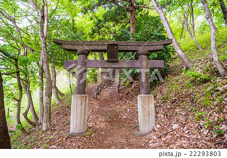 岩崎山史跡公園 新緑 (福島県須賀川市) 岩崎山史跡公園 新緑 (福島県須賀川市) 22293803