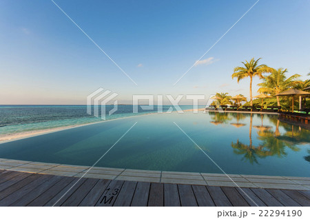 infinity pool with sea views and palm trees 22294190