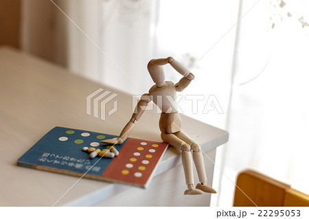 薬手帳 イメージ 薬手帳 イメージ 22295053