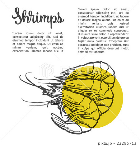 Image of three prawns with yellow spots Image of three prawns with yellow spots 22295713