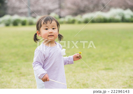 タンポポを持つ女の子 タンポポを持つ女の子 22296143