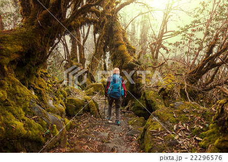 Hike in Nepal jungle Hike in Nepal jungle 22296576