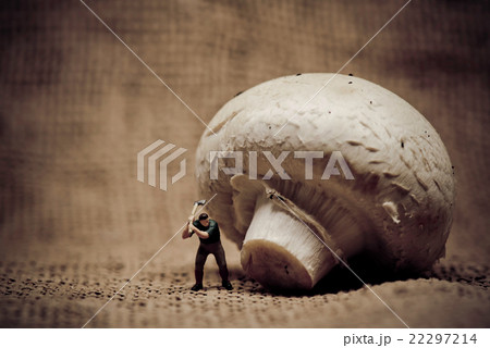 Miniature lumberjack cutting mushroom with axe 22297214