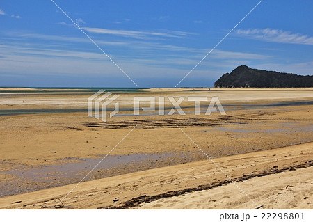 Low tide in the Awaroa Inlet 22298801